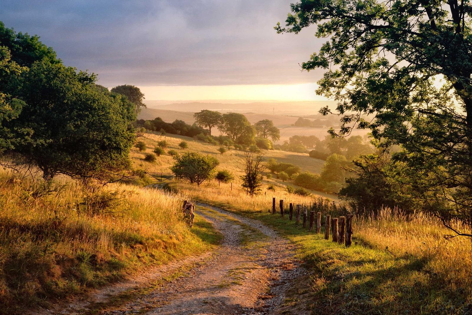 Chiltern Hills