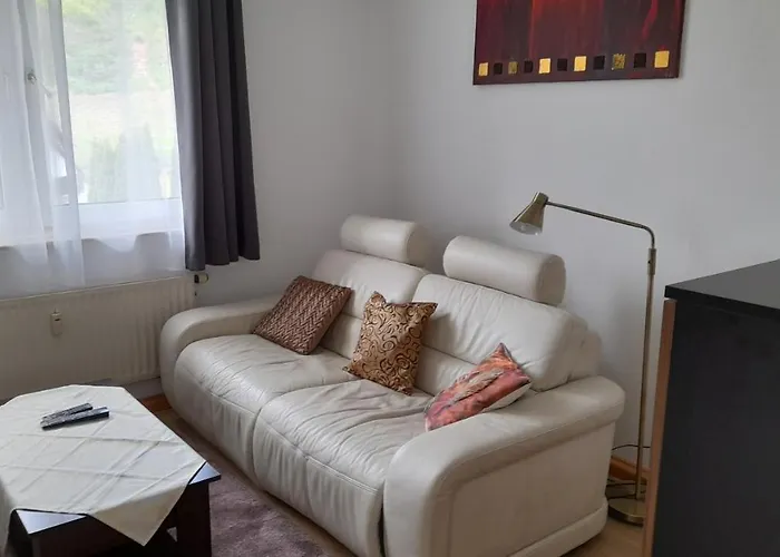 Hotel Krone Hirschhorn