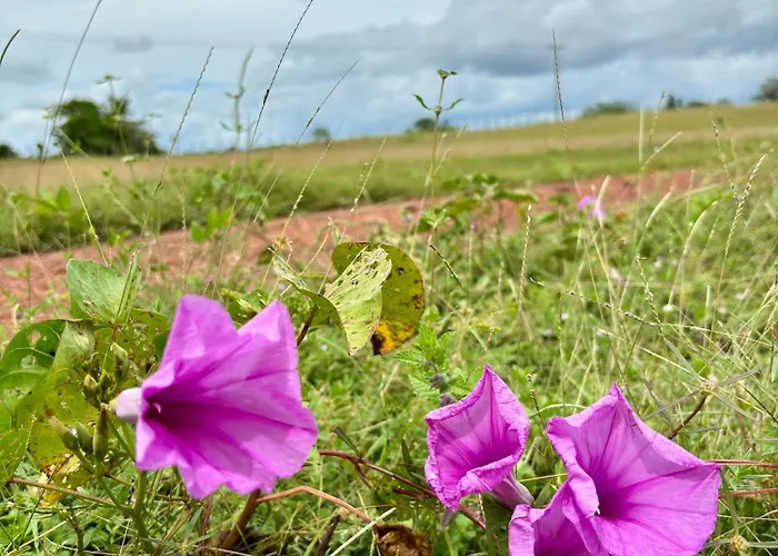 Hotel Campo Maior Piauí