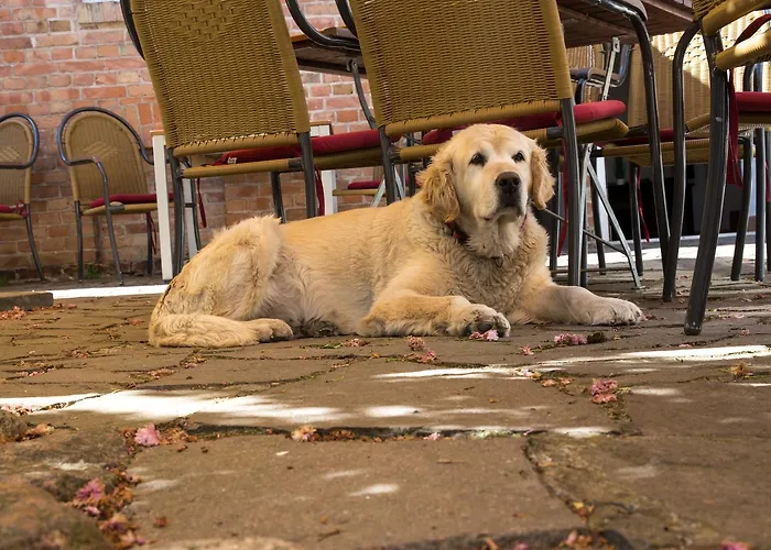 Hotel & Restaurant Sophienhof